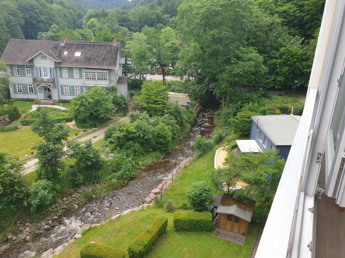 Apartz - Bad Harzburg - Apartment Mit Sauna In Idealer Lage Mit Bergblick Εξωτερικό φωτογραφία