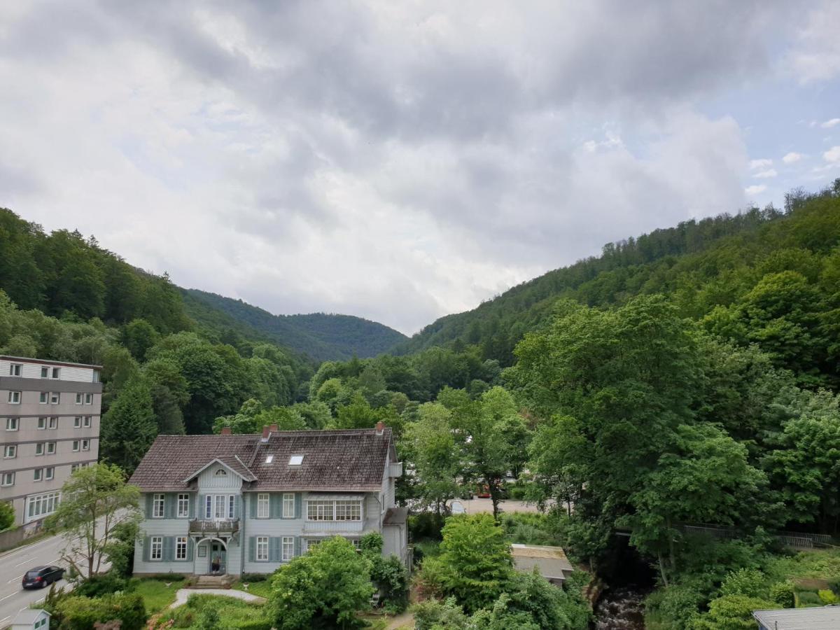 Apartz - Bad Harzburg - Apartment Mit Sauna In Idealer Lage Mit Bergblick Εξωτερικό φωτογραφία